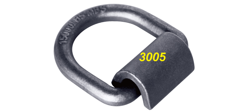 3005.jpg