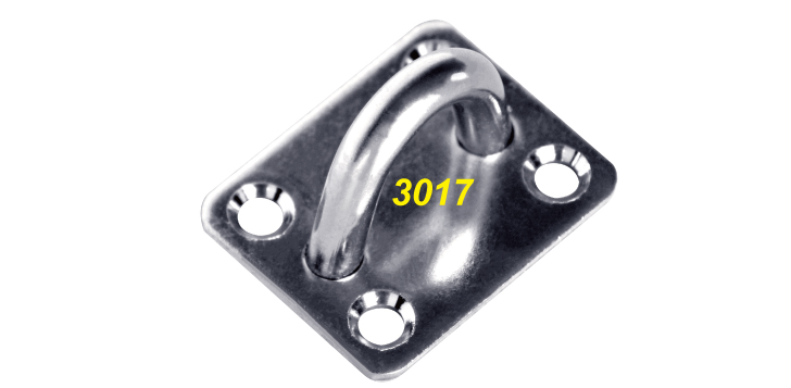 3017.jpg